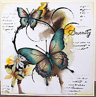 dien serenity 27-03…